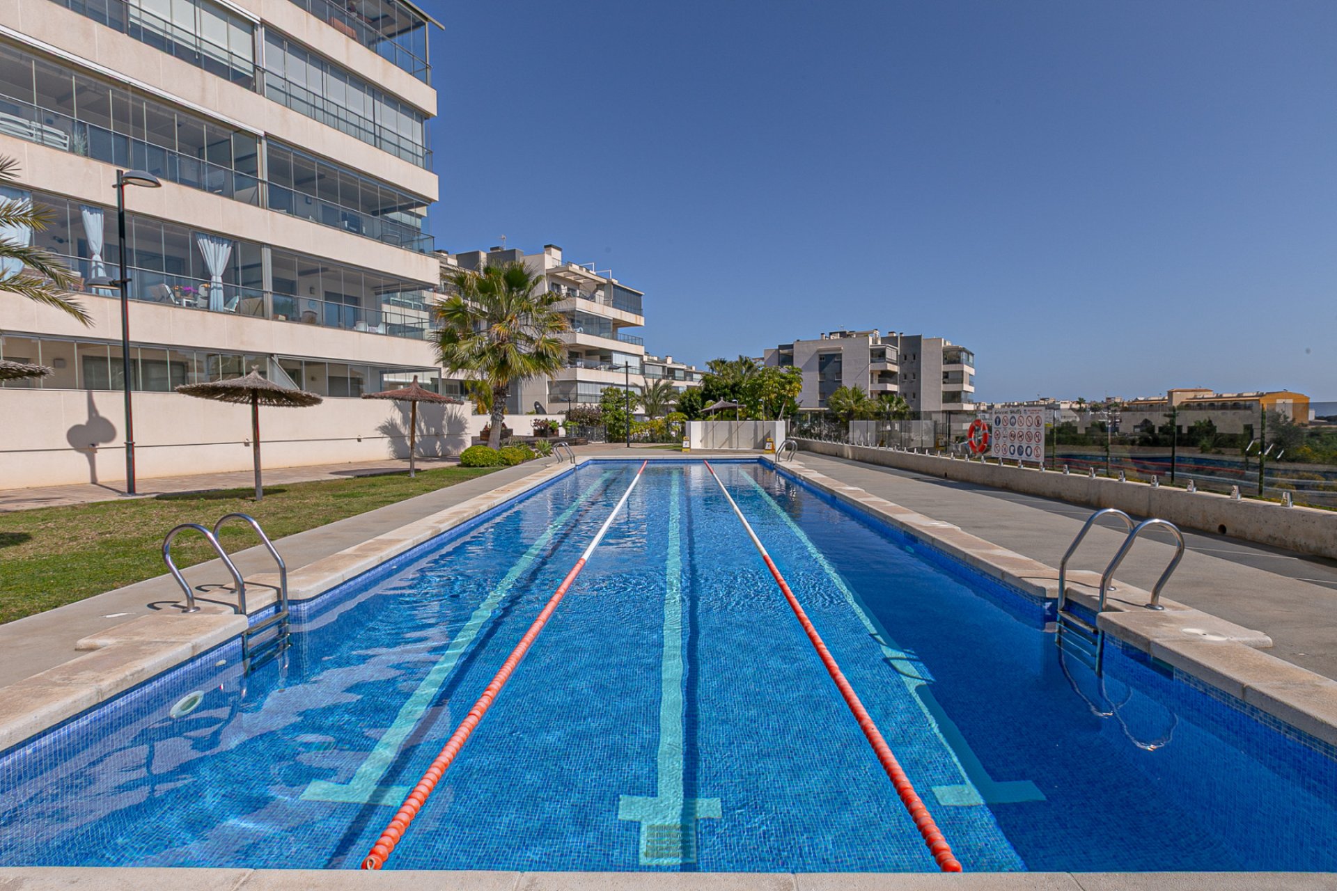 Revente - Appartement - Los Dolses - Pimienta
