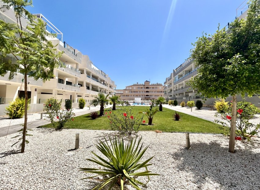 Revente - Appartement - Los Dolses