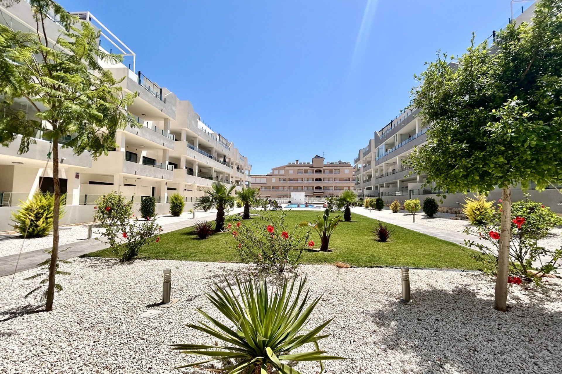 Revente - Appartement - Los Dolses