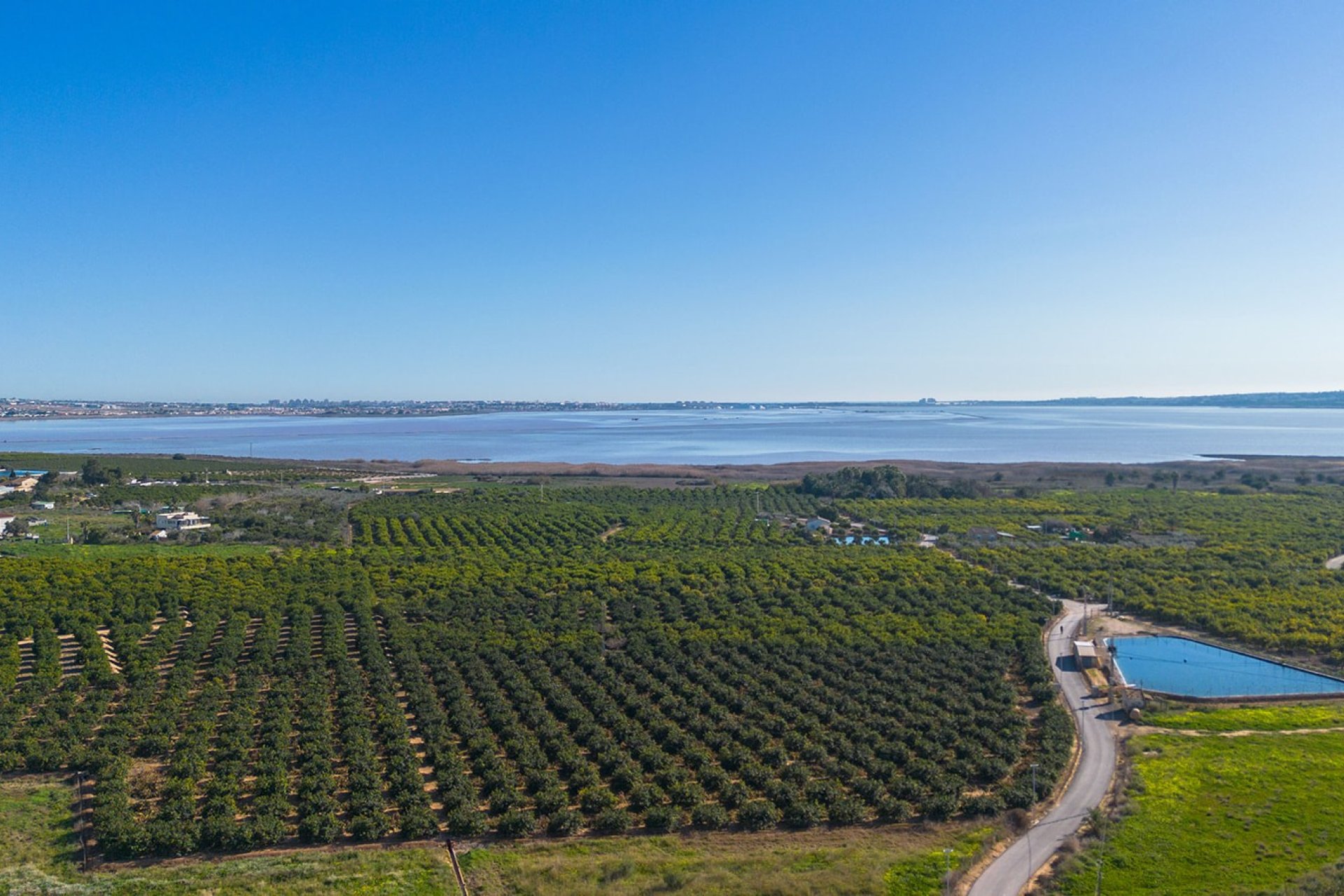 Revente - Appartement - Los Montesinos