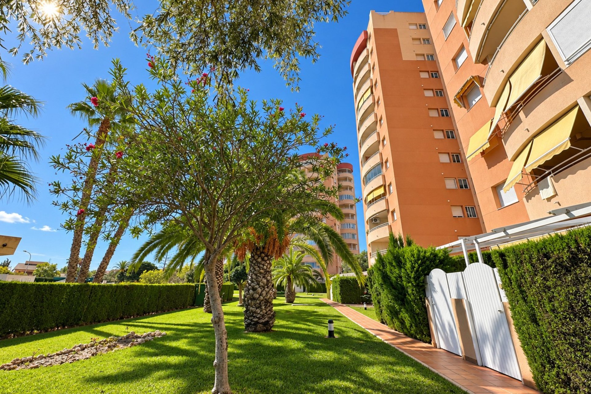 Revente - Appartement - Orihuela Costa - Campoamor