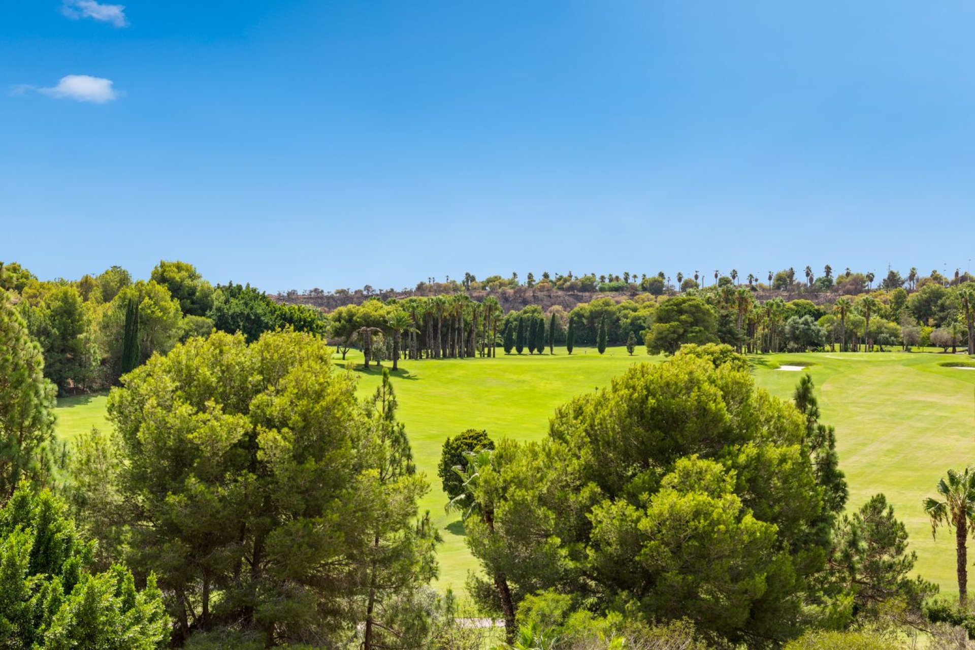 Revente - Appartement - Orihuela Costa - Dehesa de campoamor