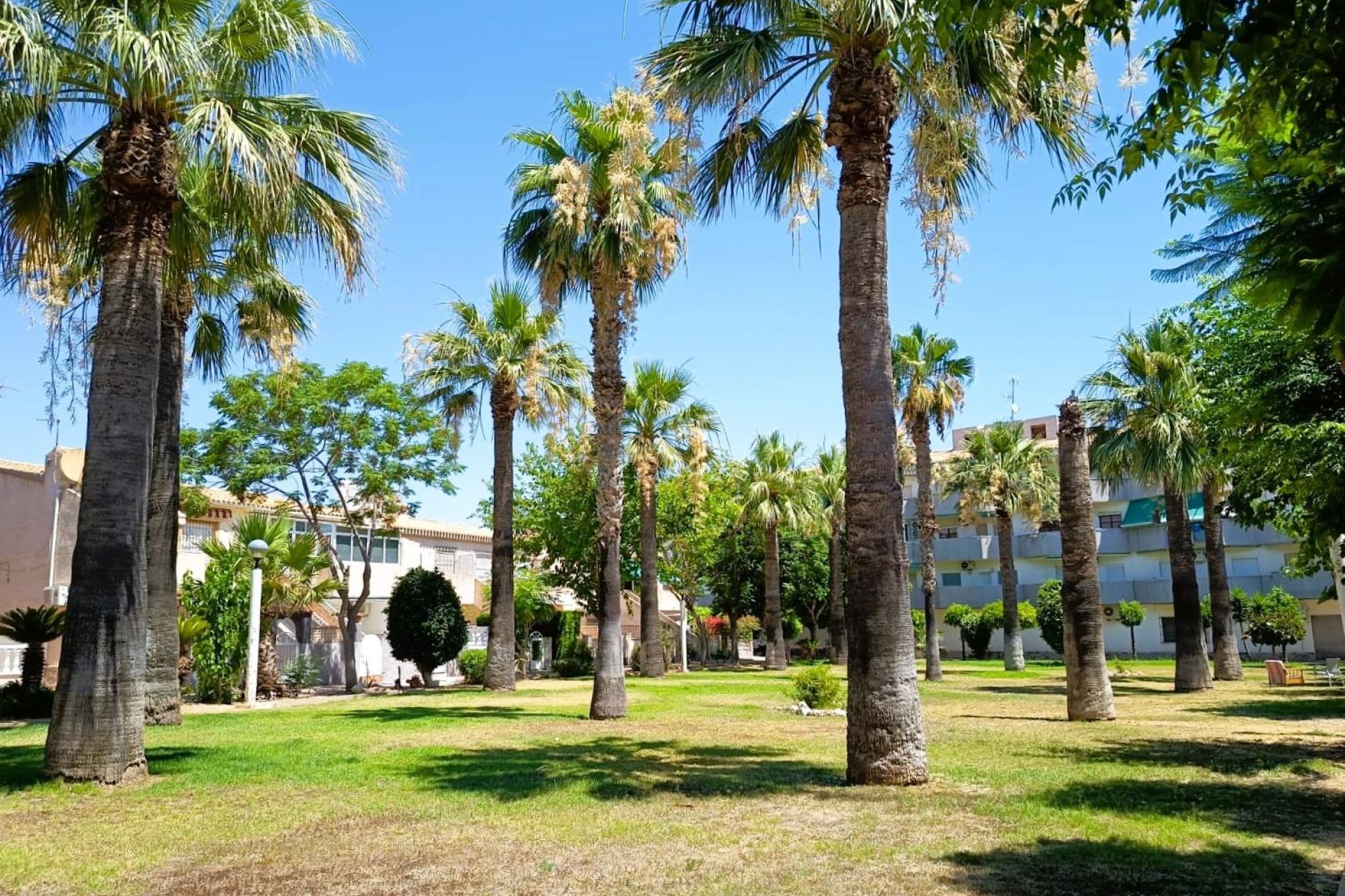 Revente - Appartement - Orihuela Costa - La Regia