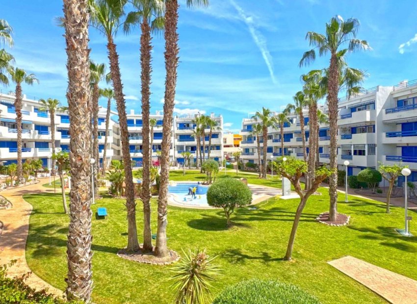 Revente - Appartement - Orihuela Costa - Playa Flamenca