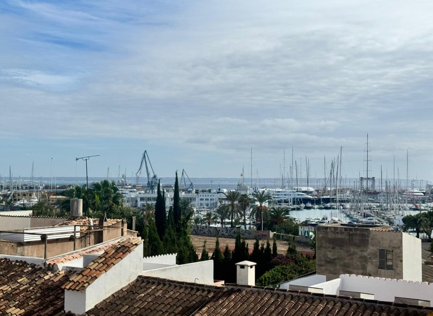 Revente - Appartement - Palma