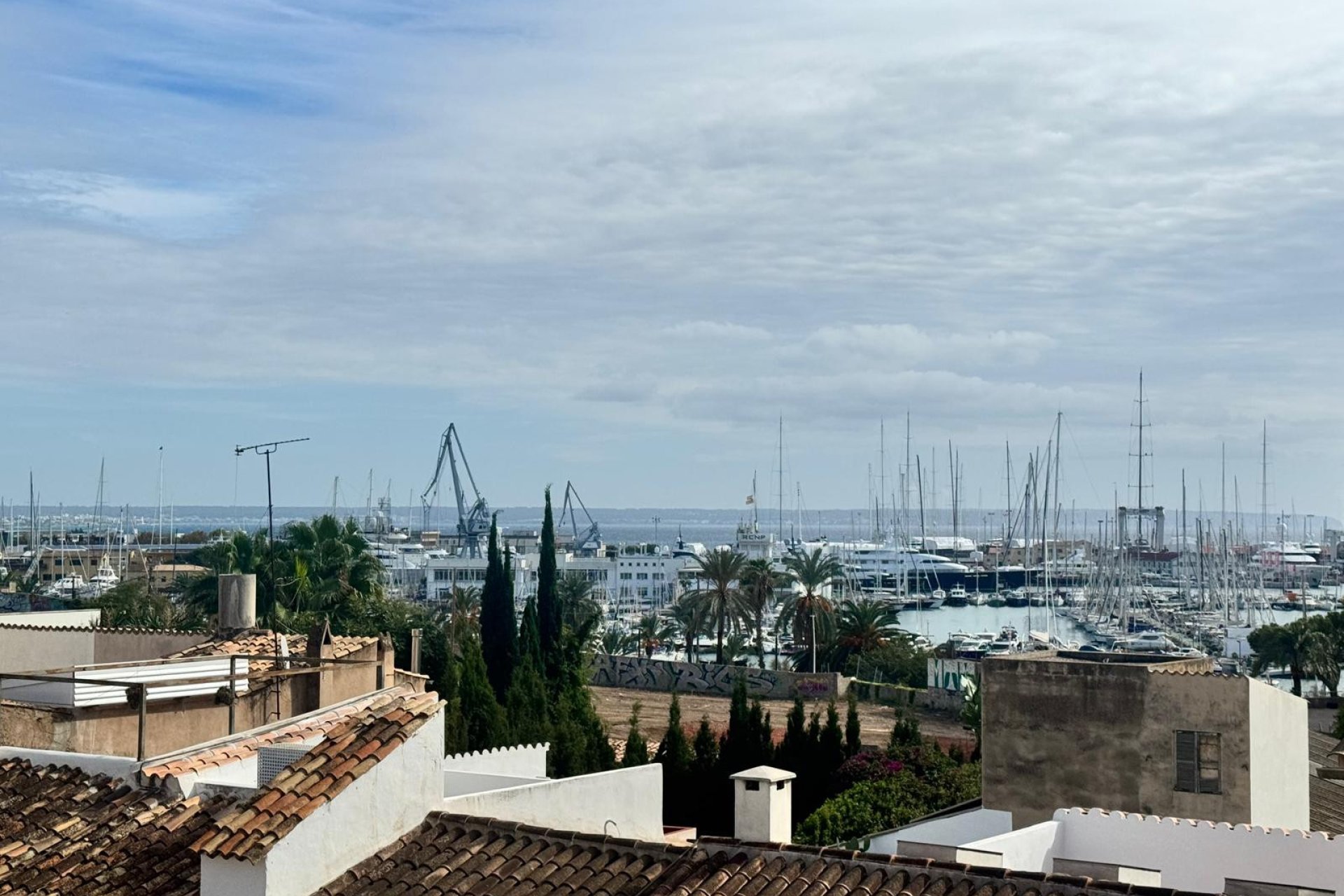 Revente - Appartement - Palma