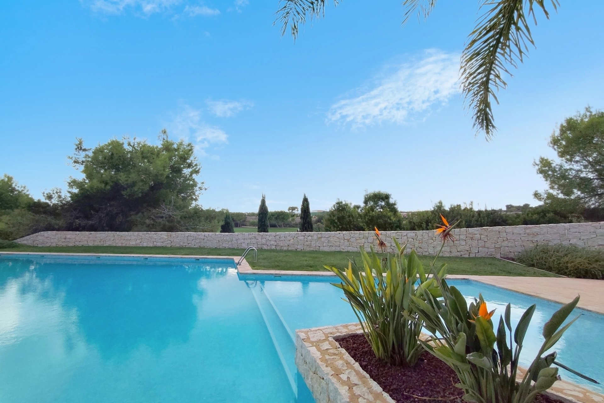 Revente - Appartement - Pilar de la Horadada