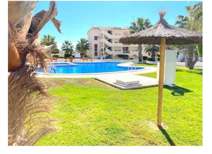 Revente - Appartement - Playa Flamenca - Orihuela Costa