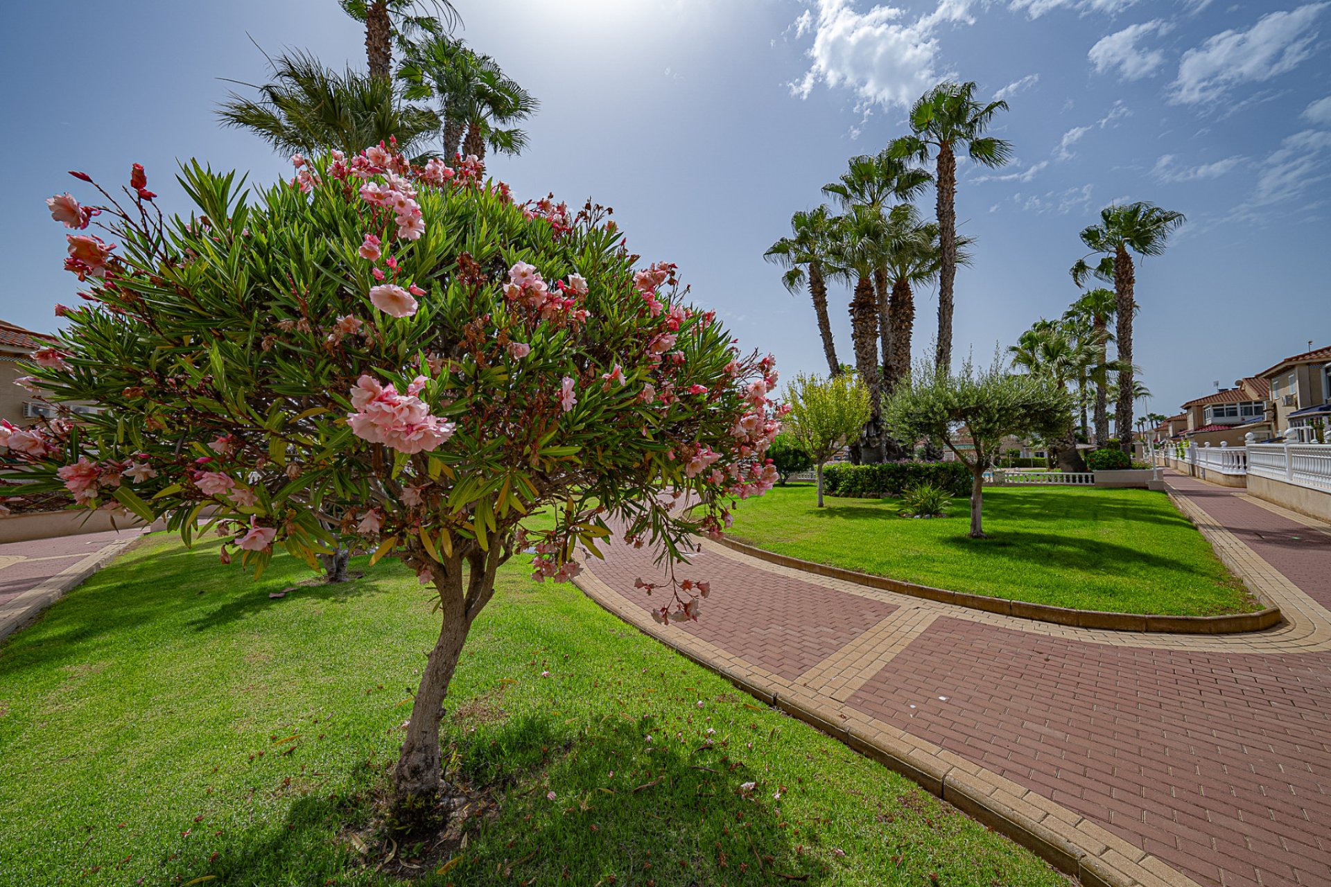 Revente - Appartement - Playa Flamenca