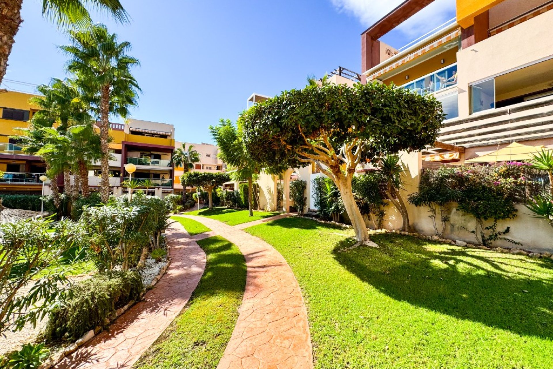 Revente - Appartement - Playa Flamenca