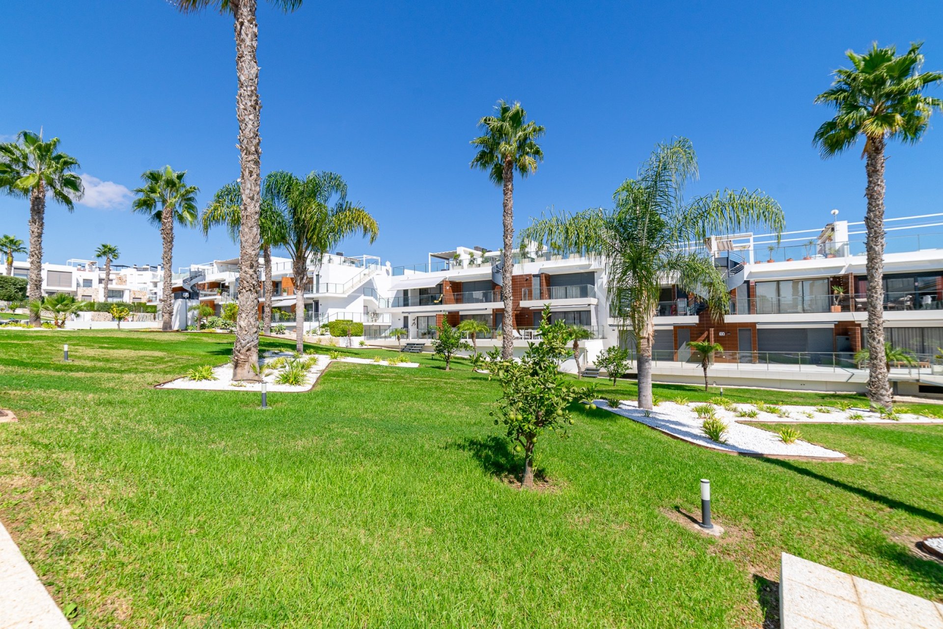 Revente - Appartement - Punta Prima