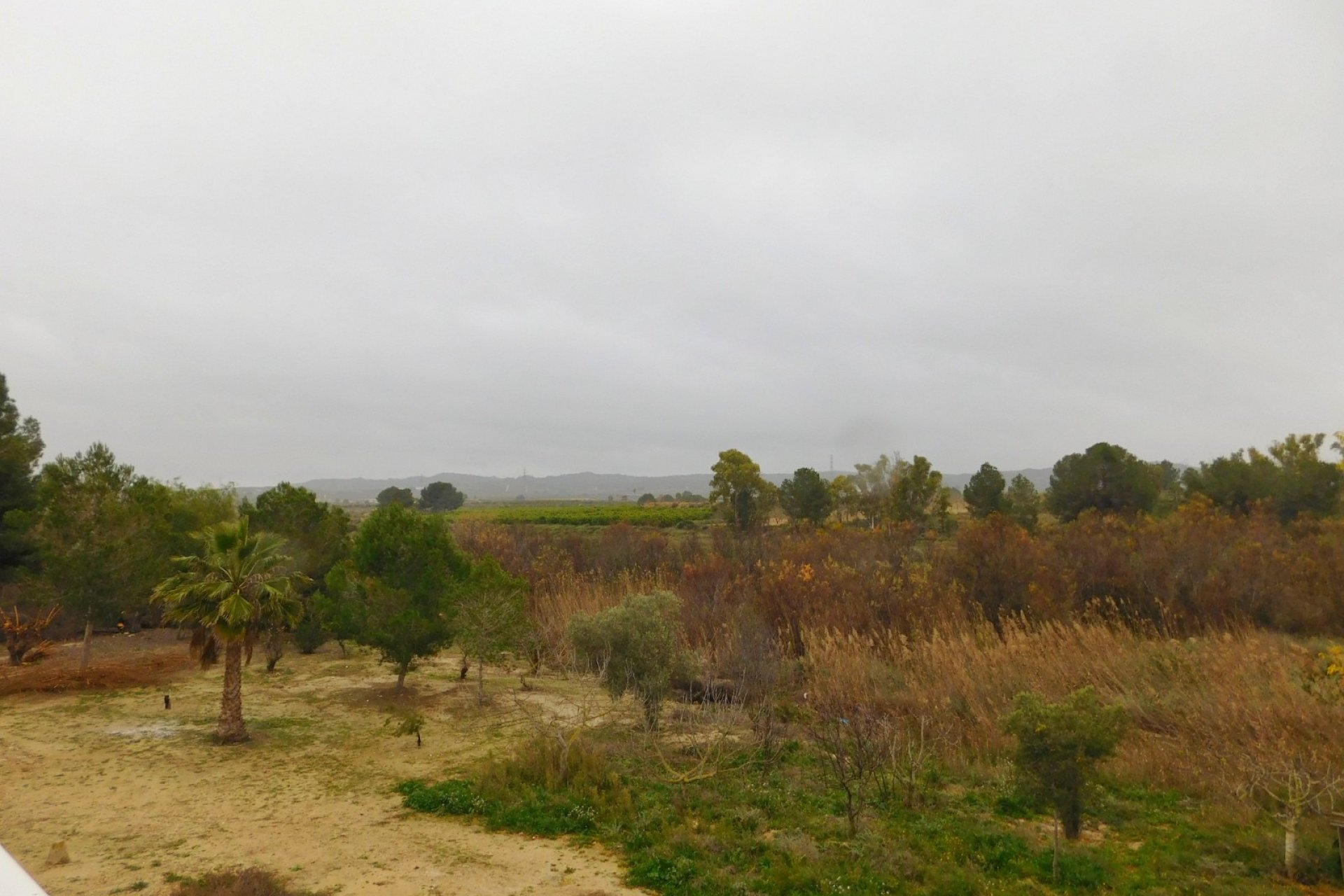 Revente - Appartement - Torremendo