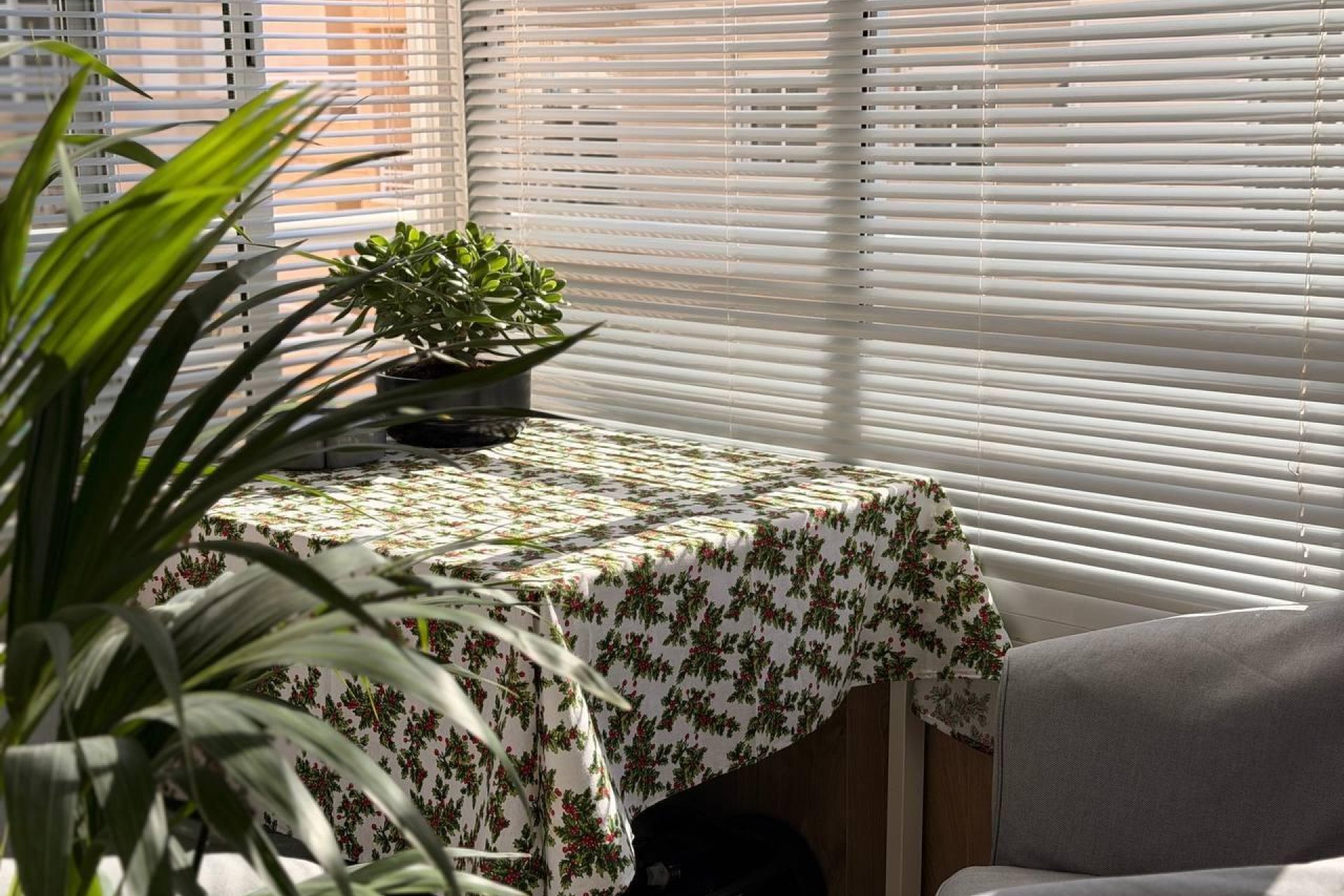 Revente - Appartement - Torrevieja - Acequion