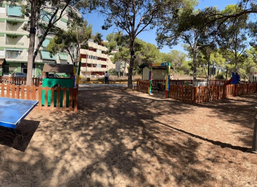 Revente - Appartement - Torrevieja - Acequion