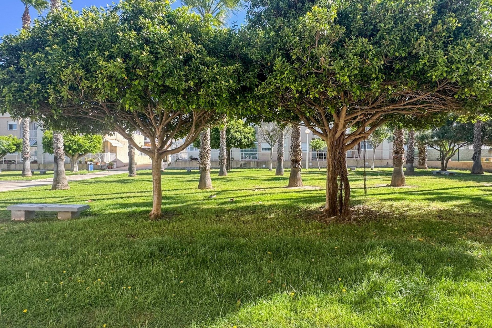 Revente - Appartement - Torrevieja - Aguas Nuevas