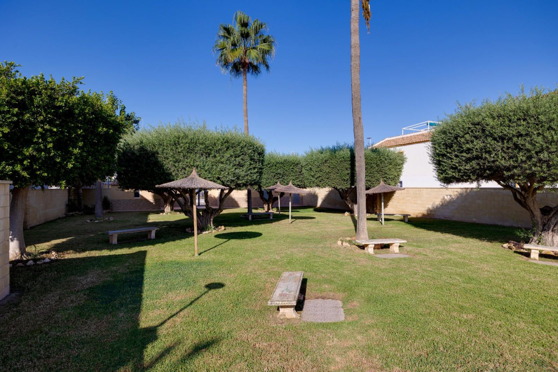 Revente - Appartement - Torrevieja - Carrefour