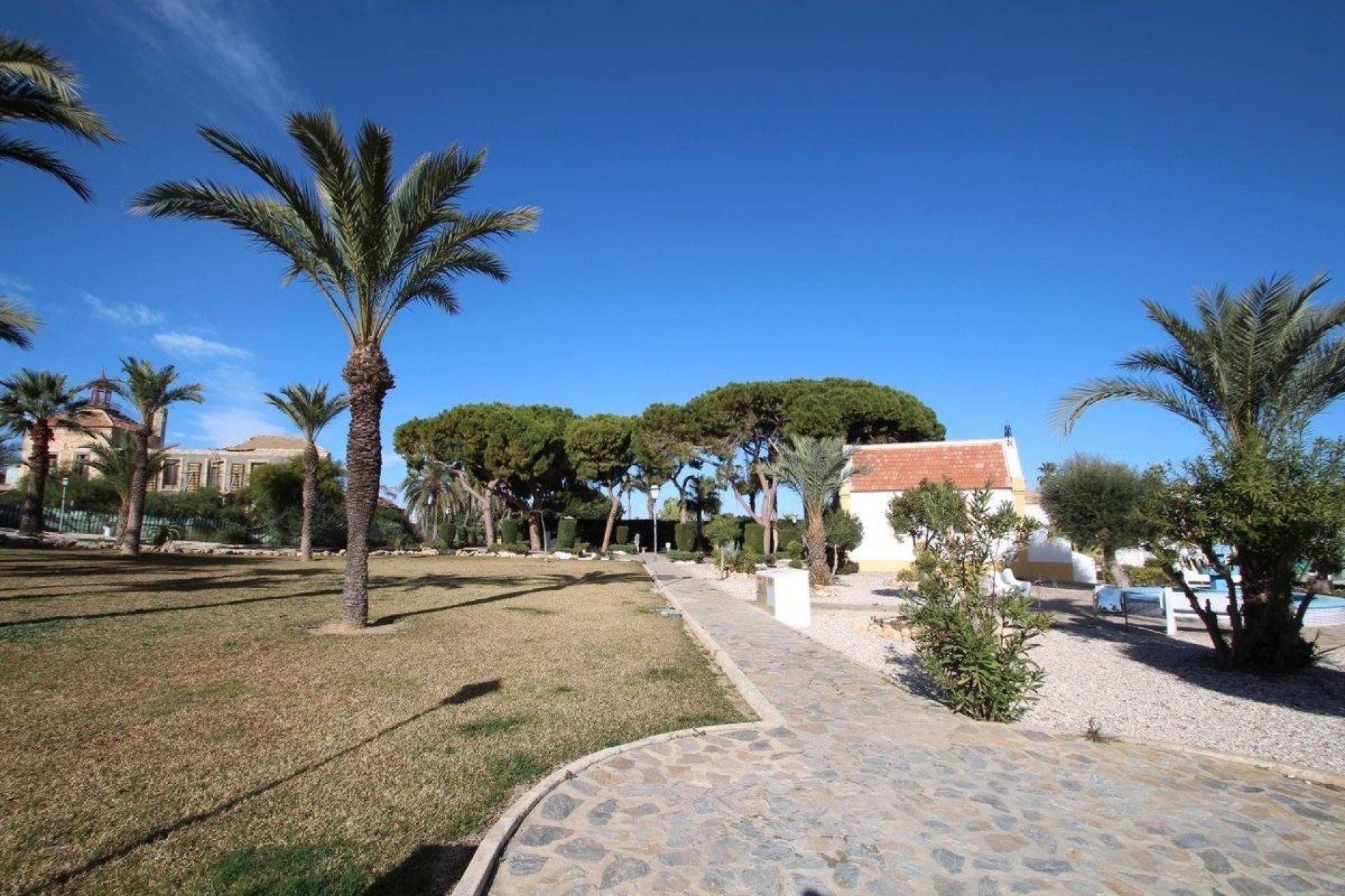 Revente - Appartement - Torrevieja - Los Balcones
