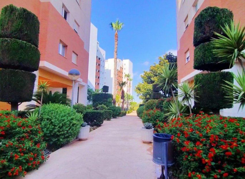 Revente - Appartement - Torrevieja - Playa de los Naufragos
