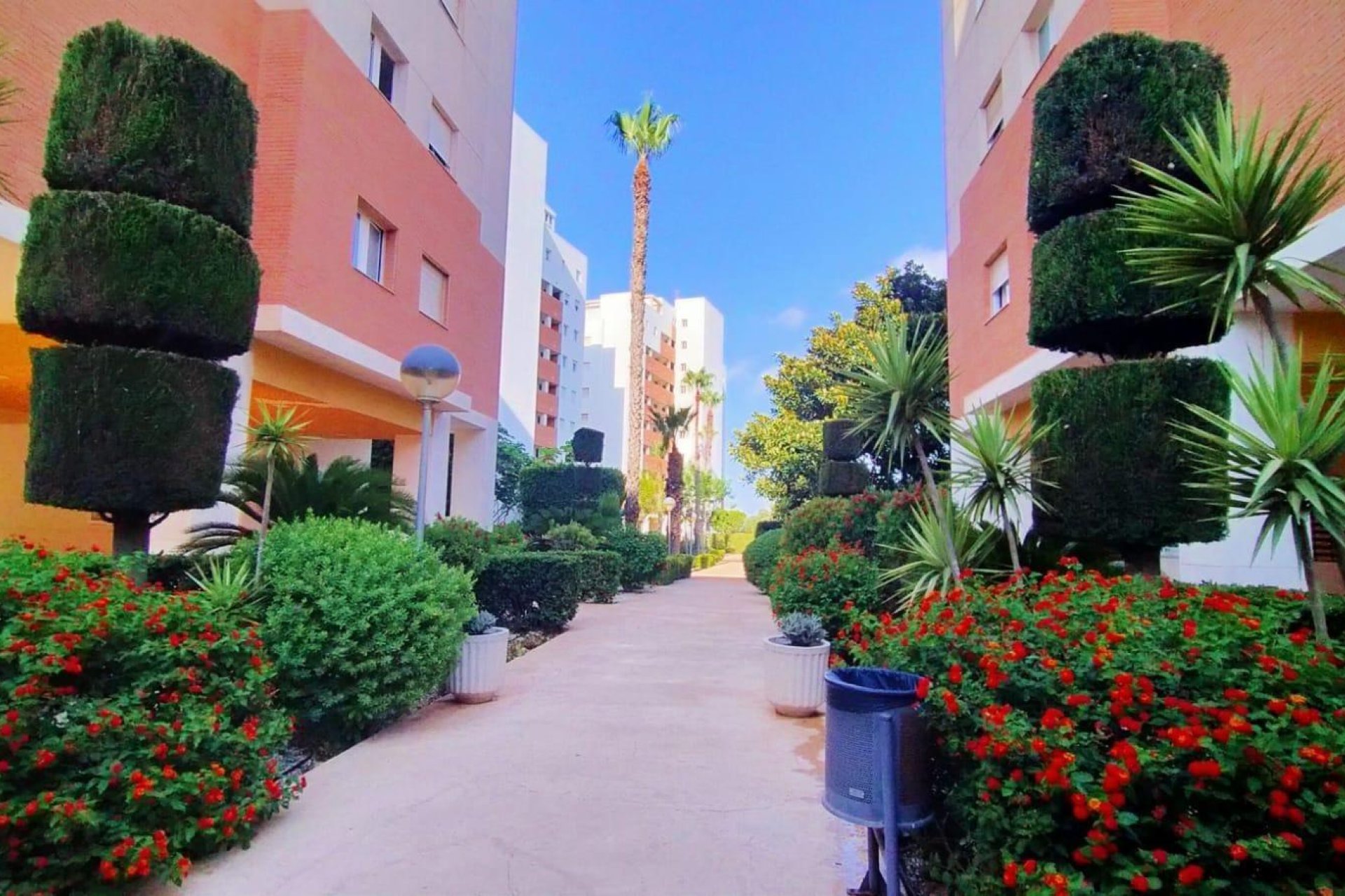 Revente - Appartement - Torrevieja - Playa de los Naufragos