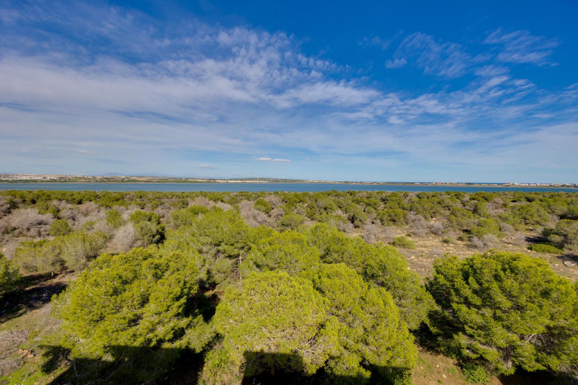 Revente - Appartement - Torrevieja - San luis