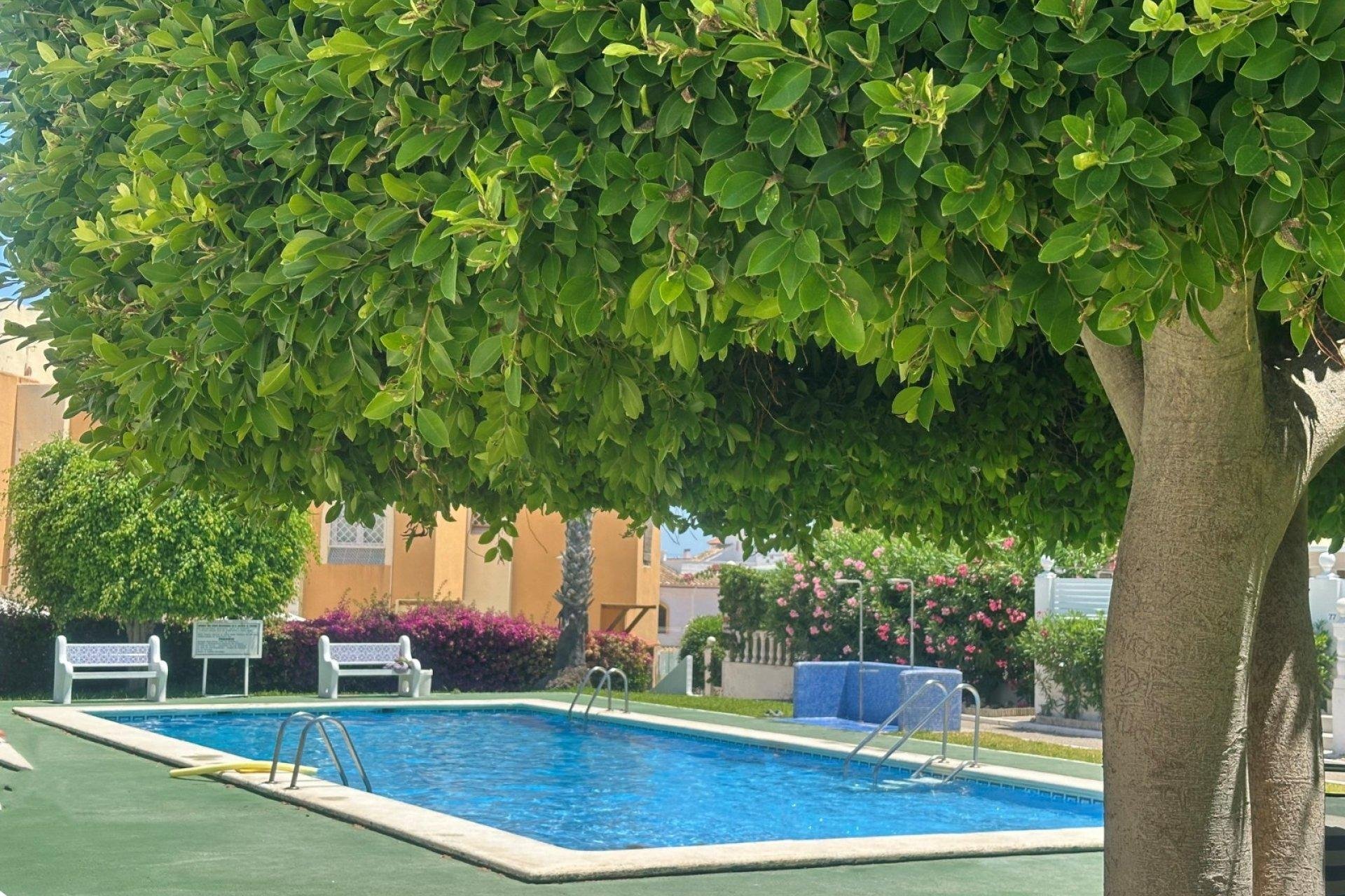 Revente - Appartement - Torrevieja - Torreblanca