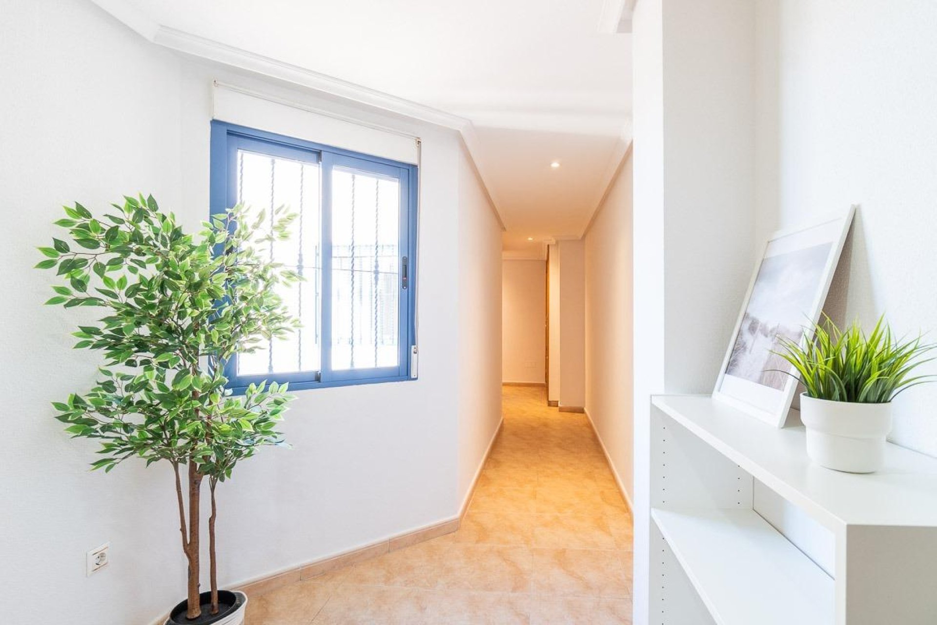 Revente - Appartement - Torrevieja