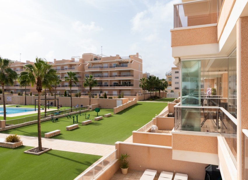 Revente - Appartement - Villamartin - Villamartín