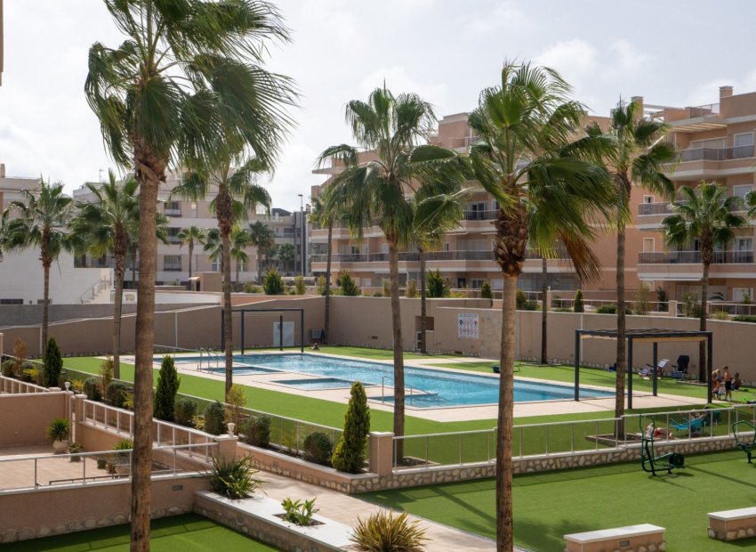 Revente - Appartement - Villamartin - Villamartín