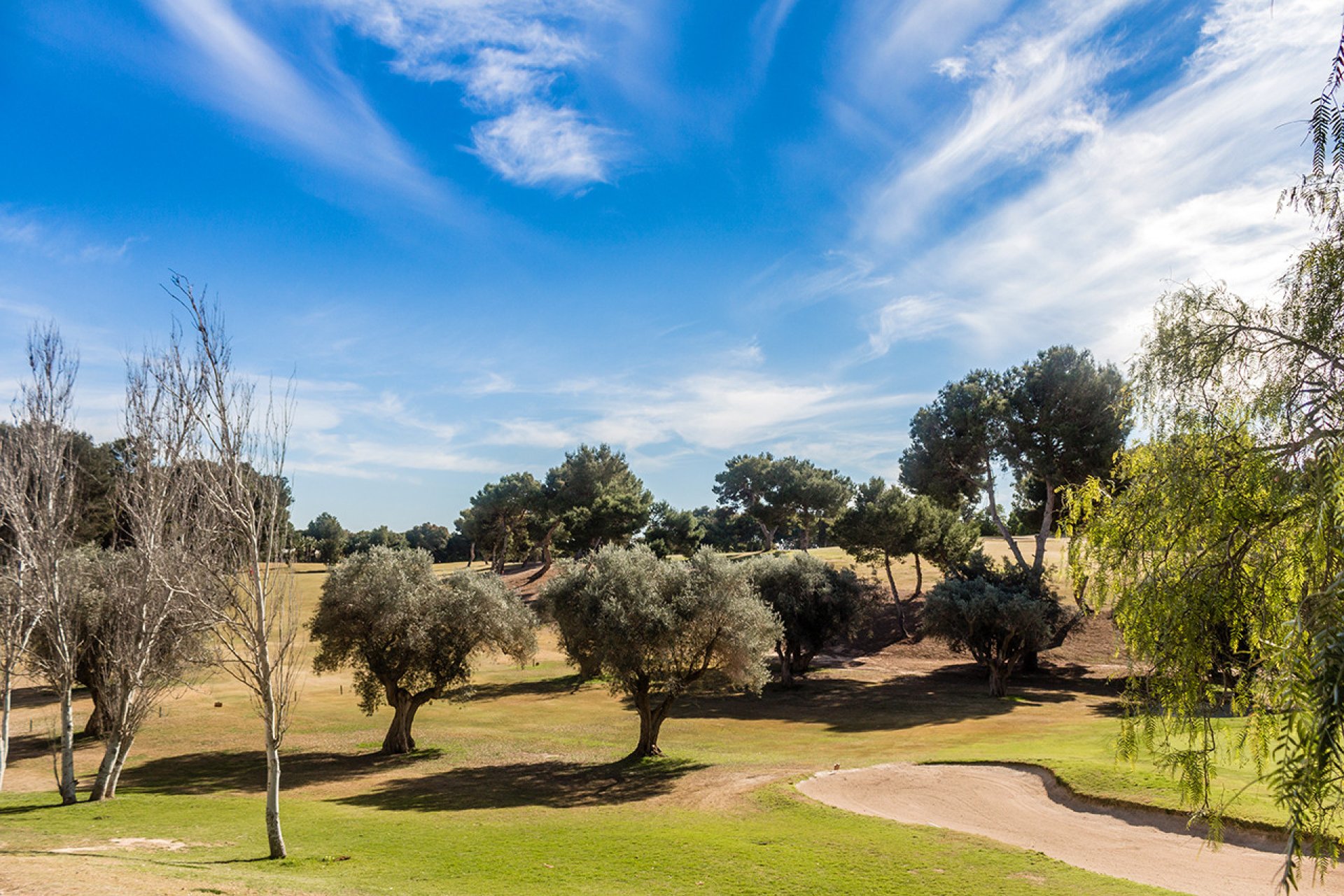 Revente - Appartement - Villamartin - Villamartín