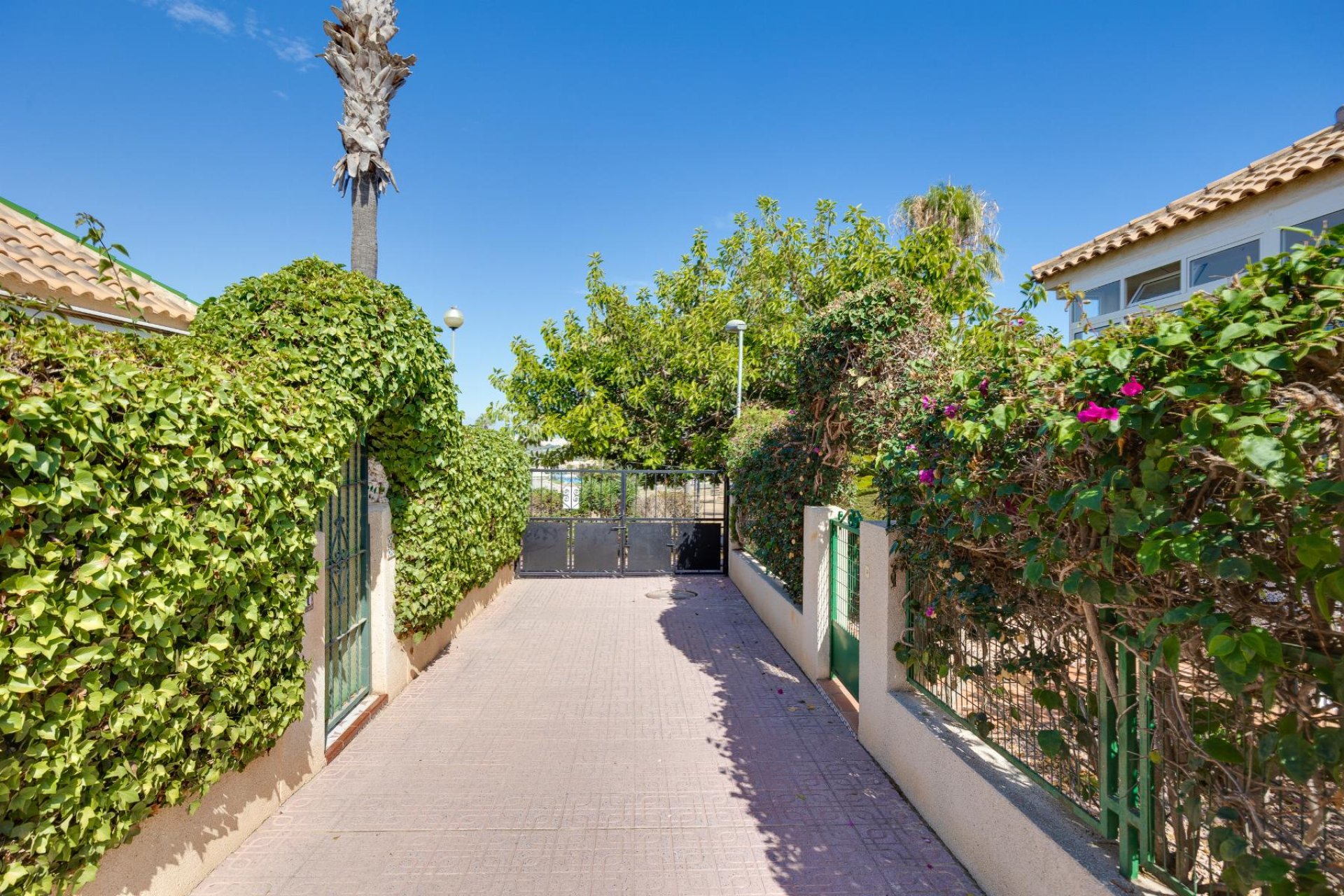 Revente - Bungalow - Orihuela Costa - Los Altos