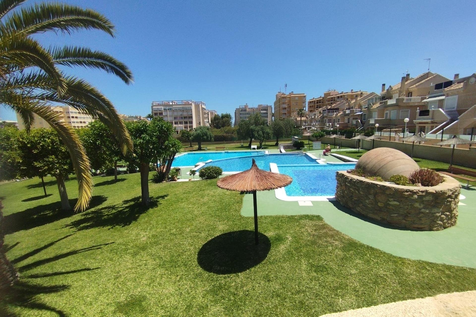 Revente - Bungalow - Torrevieja - Torreblanca