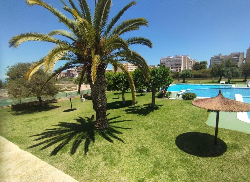 Revente - Bungalow - Torrevieja - Torreblanca