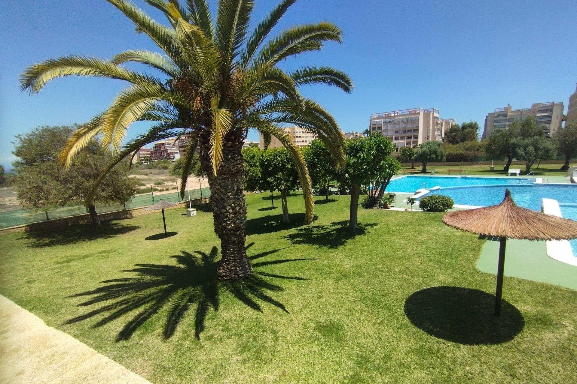 Revente - Bungalow - Torrevieja - Torreblanca