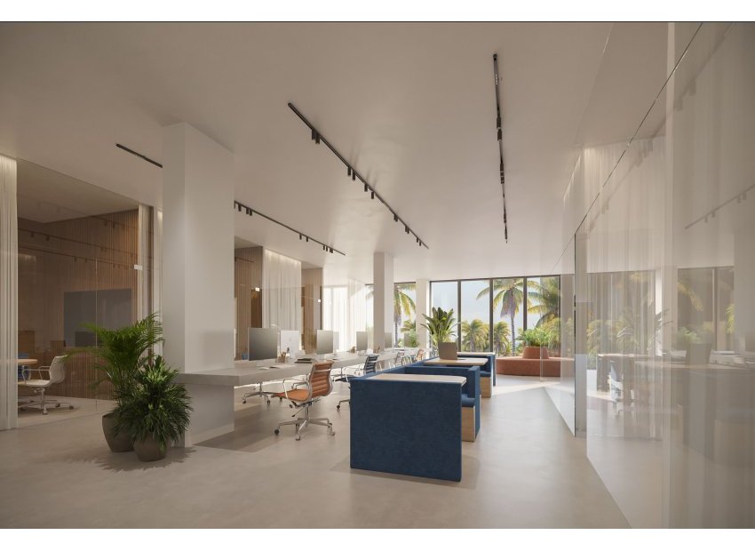 Revente - Commercial - Torrevieja - La Mata