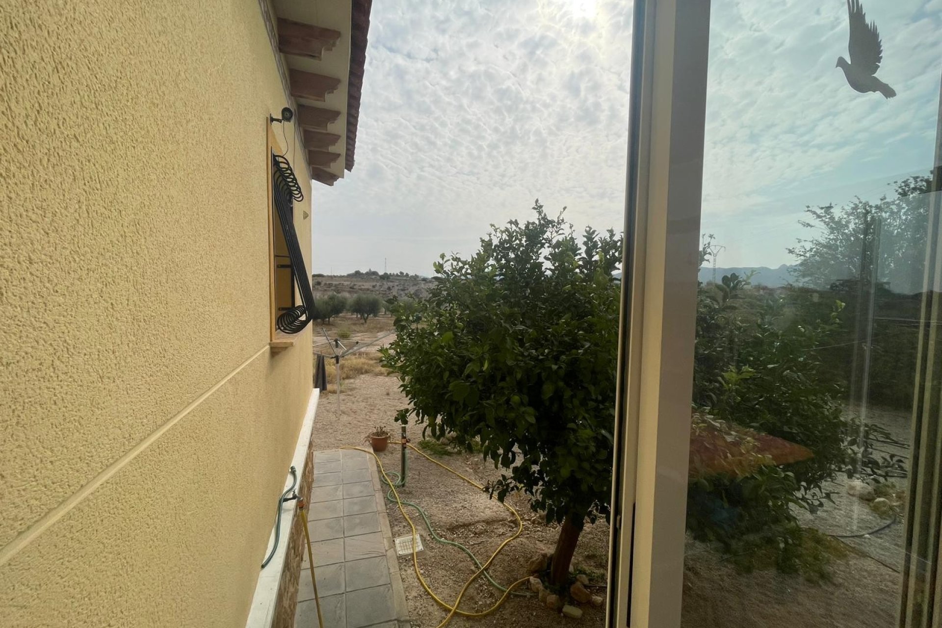 Revente - Finca / Maison Rurale - Abanilla