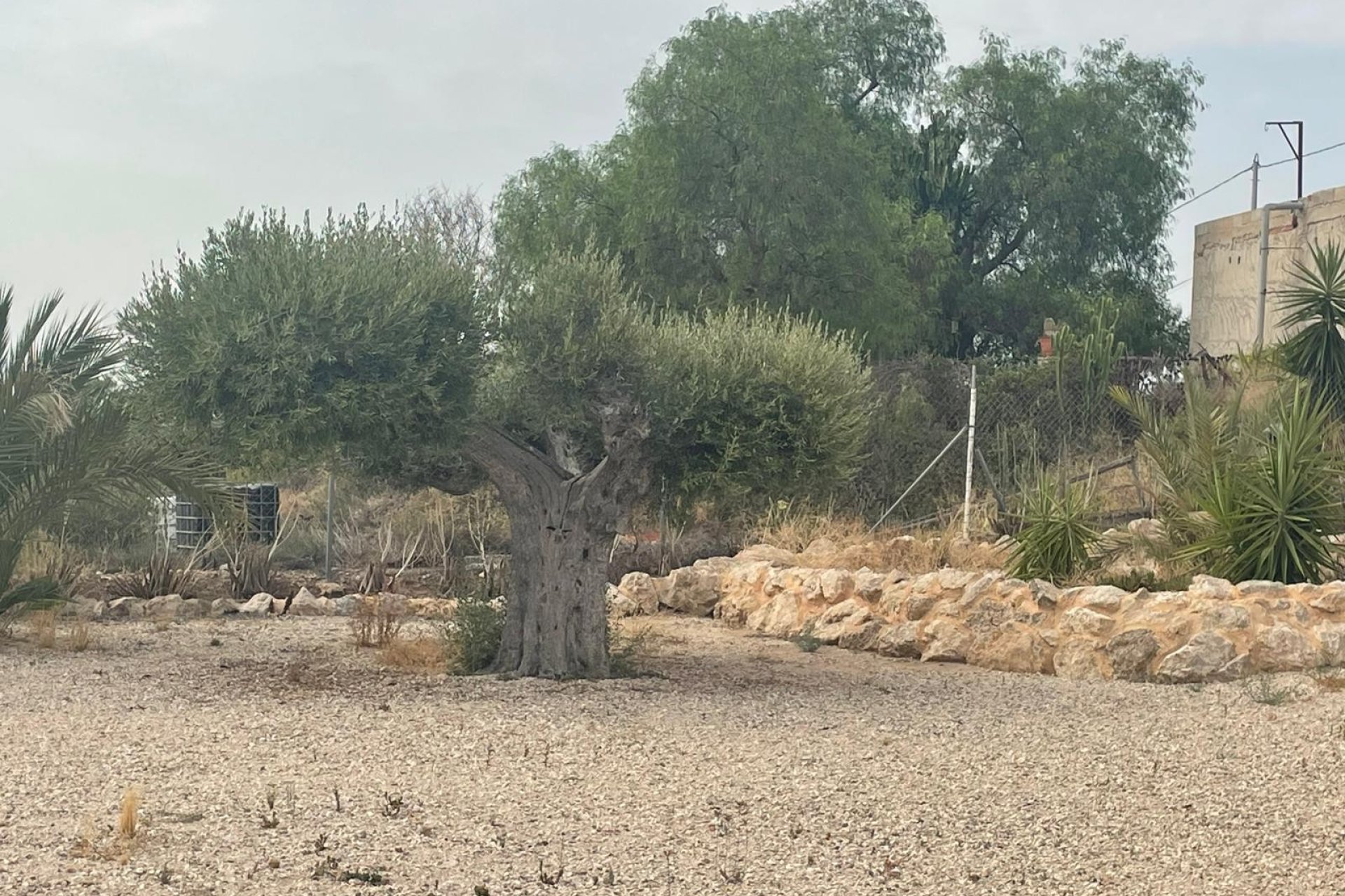 Revente - Finca / Maison Rurale - Abanilla