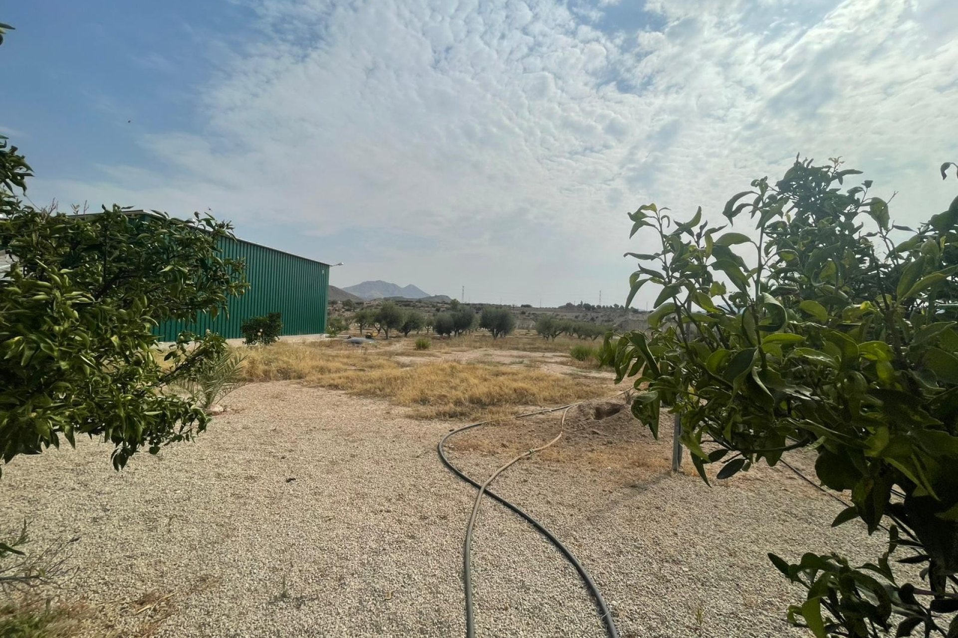 Revente - Finca / Maison Rurale - Abanilla