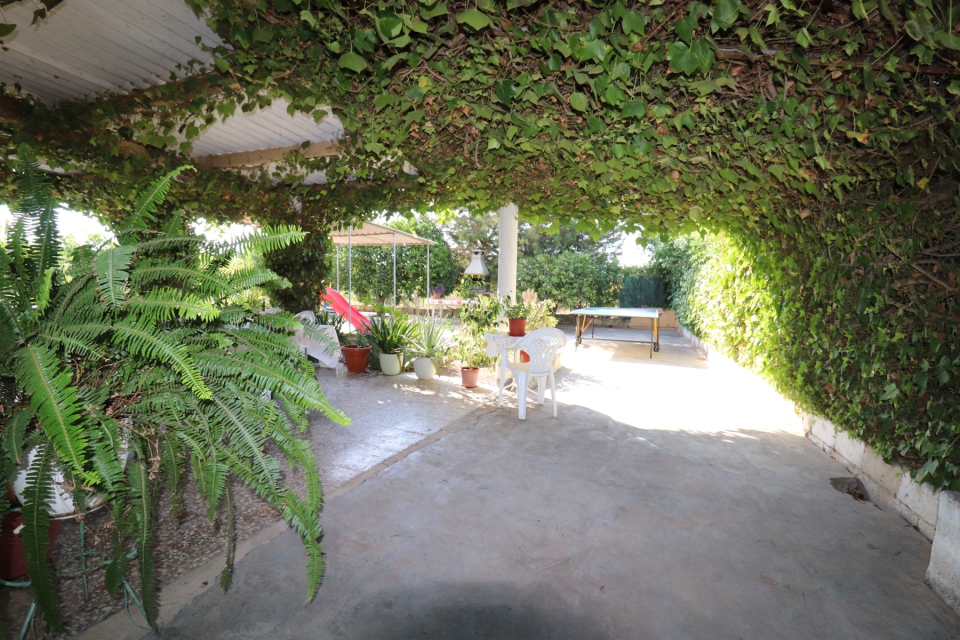 Revente - Finca / Maison Rurale - Albatera