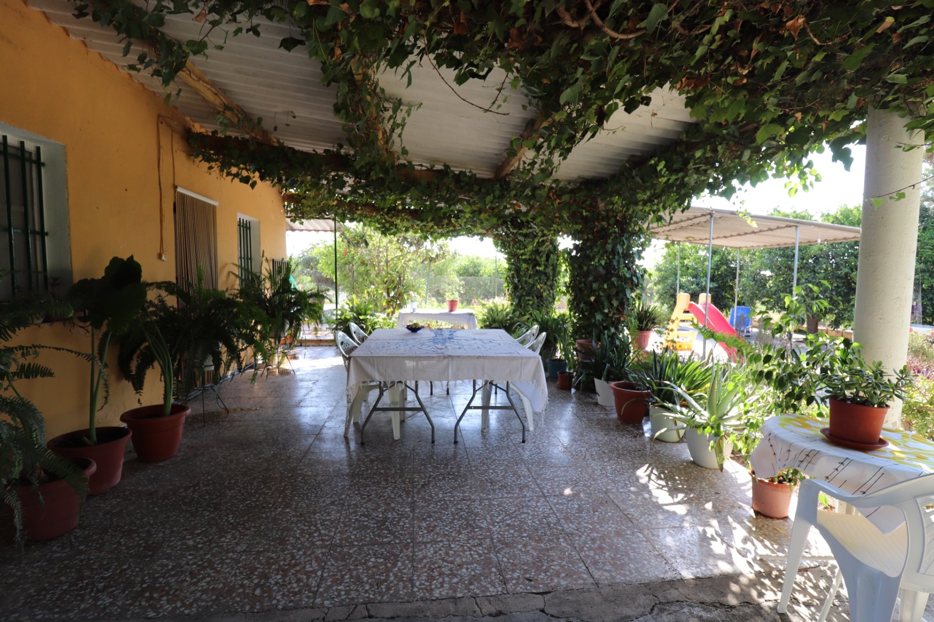 Revente - Finca / Maison Rurale - Albatera