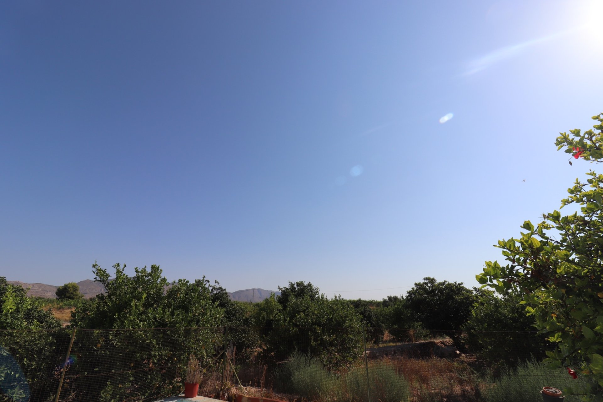 Revente - Finca / Maison Rurale - Albatera