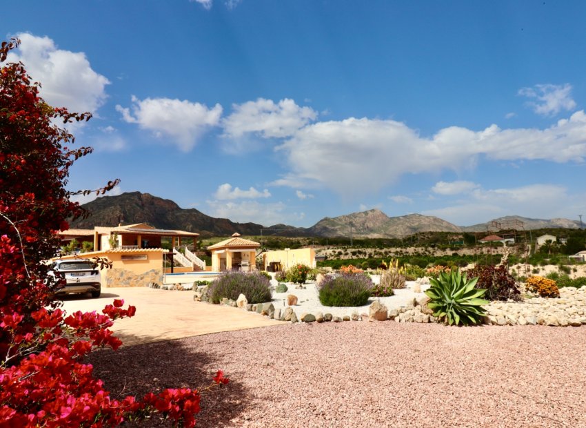 Revente - Finca / Maison Rurale - Albatera