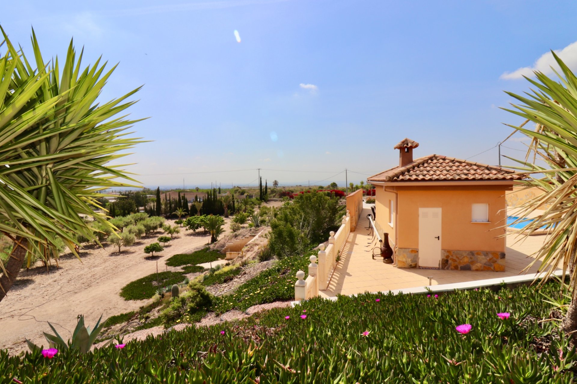 Revente - Finca / Maison Rurale - Albatera