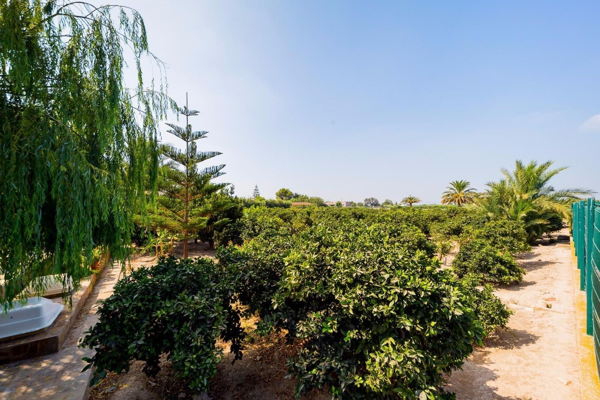 Revente - Finca / Maison Rurale - Almoradí
