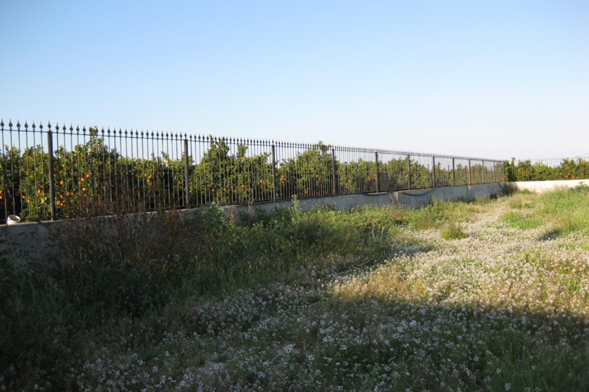 Revente - Finca / Maison Rurale - Benferri