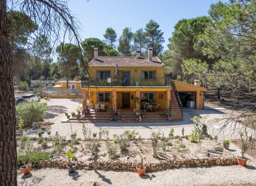 Revente - Finca / Maison Rurale - Bocairent - Valencia