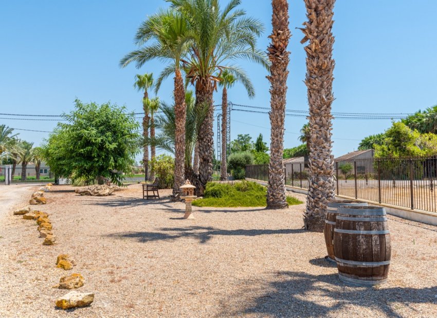 Revente - Finca / Maison Rurale - Catral