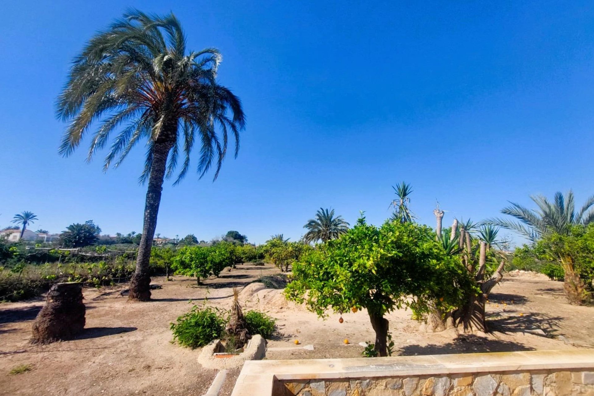 Revente - Finca / Maison Rurale - La Marina