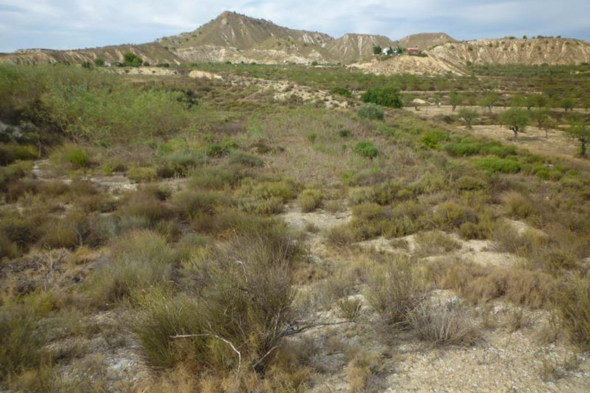 Revente - Finca / Maison Rurale - Orihuela - Desamparados-Hurchillo-Torremendo