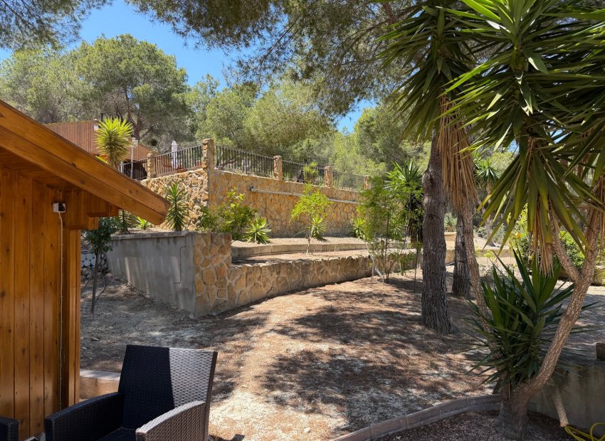 Revente - Finca / Maison Rurale - Orihuela - Torremendo