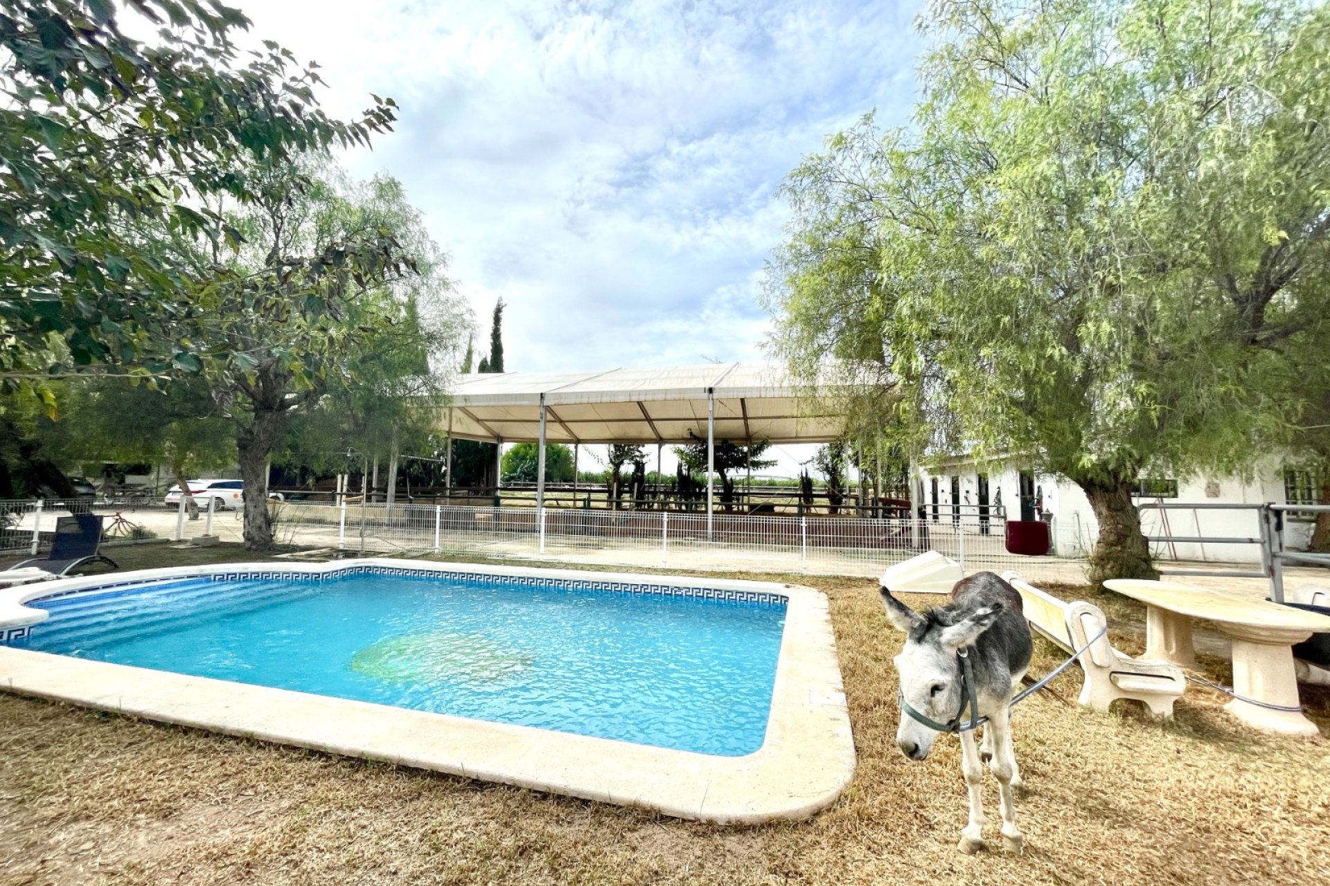 Revente - Finca / Maison Rurale - Orihuela
